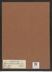 Coscinodiscus blandus A. Schm. (de-Toni-Nr.: Genus 202, Species 4899) Zeichnungen Sammlung Grunow Mappe 04730 (Herbarium_W_Grunow_drawings_Folder_04730)